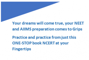 NCERT at Your Fingertips