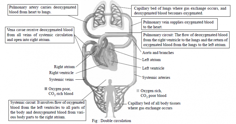 how-to-make-most-out-of-neet-biology-books-pcmb-blog