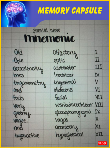 10 Important and Useful Mnemonics for Biology Students - MTG Blog